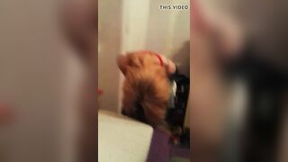 sofisoooof 2016-06-09 20-51 PERRILLAS