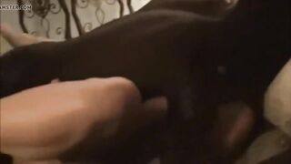 Ebony stranger offer ex-wife a cumshot
