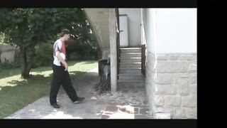 Family Nasty Report - Story #04