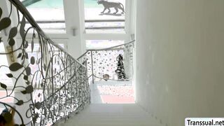 Angry Shemale and her bf fuck stepsister