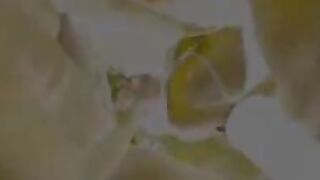 JOUIBRULANCE Nymphomaniac
