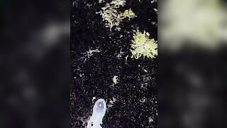 JOUIBRULANCE Je vais Le laisser manger Ce petit branleur d'en reprendre des forces