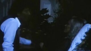 Classic Seventies Porn Video Fun Fucking Experience