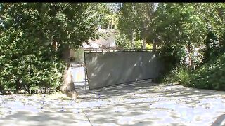 19 Year Mature Dark Haired Gets Nailed By Her New Neighbors