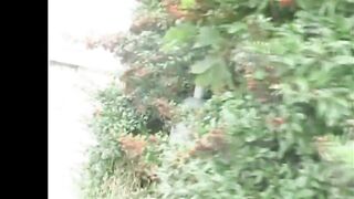 Public Viewing (Full Film)
