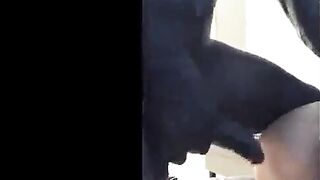 Older lady gets anal boned by big black dick