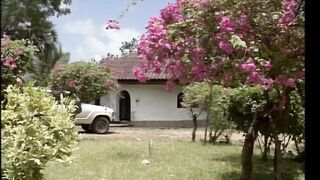 Africa Connection