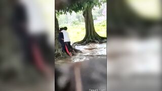 Desi Indian Couple Outdoor sex