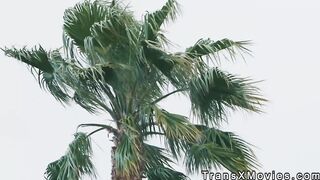 Two shemales and babe fucking in threesome