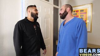 Hairy bear and his bottom cub loves has wild ass fuck fest