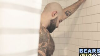 Bear washes his furry body and spanks his thick monkey