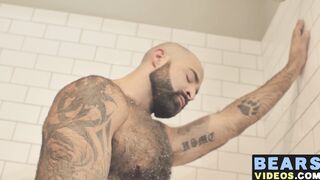 Bear washes his furry body and spanks his thick monkey