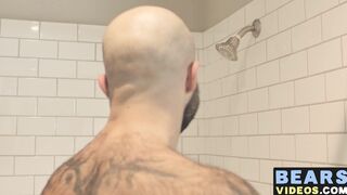 Bear washes his furry body and spanks his thick monkey