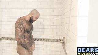 Bear washes his furry body and spanks his thick monkey