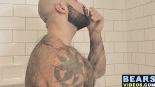 Bear washes his furry body and spanks his thick monkey