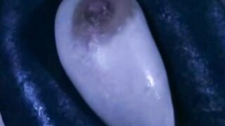 Tentacle Sex and Alien Sperm