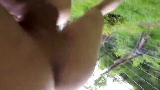 farm fun