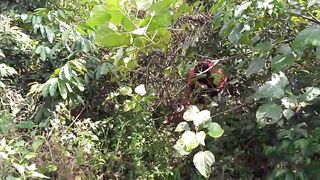 Miss classy having adventure into the bush
