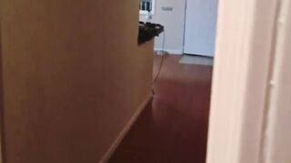 mommy pov