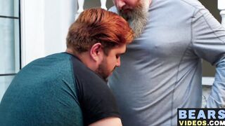 Nasty fat bear makes his cub go on knees to blow his rod