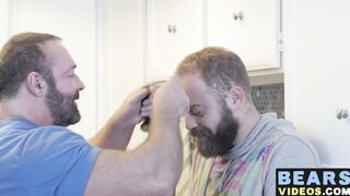 Grizzly fat bear cock polished hard by his hairy a nasty cub