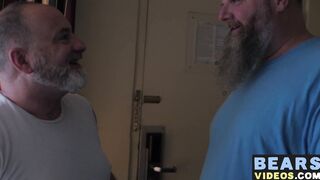 Hairy cub receives a raw ass pounding from a chubby bear