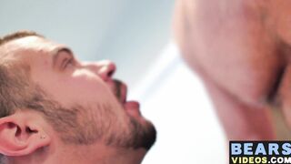 Experienced bear thrusts his hairy boner in fat cub ass
