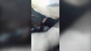 Desi Indian Homemade sex