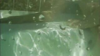 Anita Dark into Pool