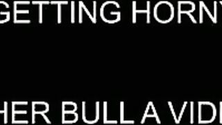 Bull Visits Ex-Wife