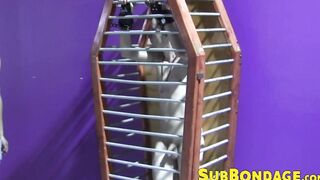 Caged twink whipped and tormented hard ends up masturbating