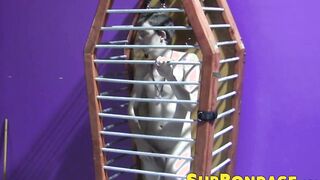 Caged twink whipped and tormented hard ends up masturbating