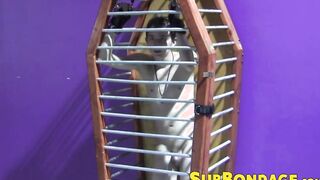 Caged twink whipped and tormented hard ends up masturbating