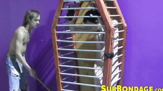 Caged twink whipped and tormented hard ends up masturbating