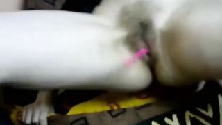 Fingering my hairy pussy with Lush Vibrator