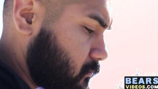 Kinky bear has steamy fuck session with bearded young cub