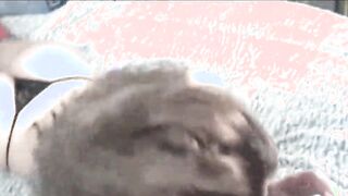 hot amateur housewives sucking and fucking in foursome