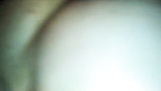 bbw dick sucker