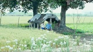 Betaab Ishq Indian New Web Series