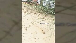 Desi Indian Old man Outdoor fuck
