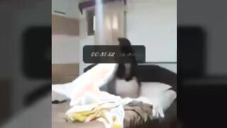 Desi Indian sex