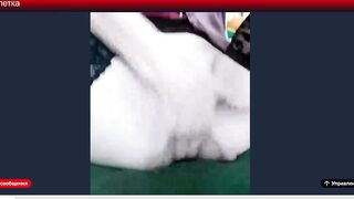 cam64789032