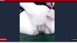 cam64789032