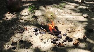 Investigation with Fires in Siberia