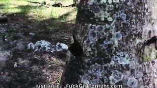 Investigation with Fires in Siberia
