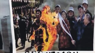 Investigation with Fires in Siberia