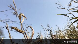 Outside Sex into a Cornfield