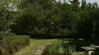 French black Julia Channel fucks outside, upscaled to 4K