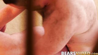 Amazingly intense barebacking for adorable hairy bear cutie