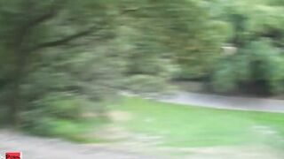 Reality report (GANZER SCENE)